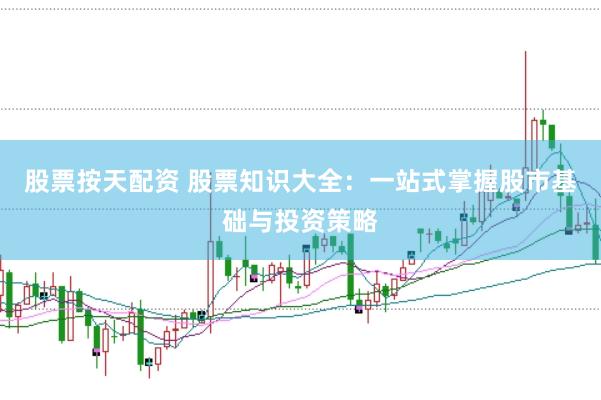 股票按天配资 股票知识大全：一站式掌握股市基础与投资策略