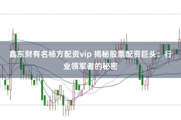 鑫东财有名杨方配资vip 揭秘股票配资巨头：行业领军者的秘密