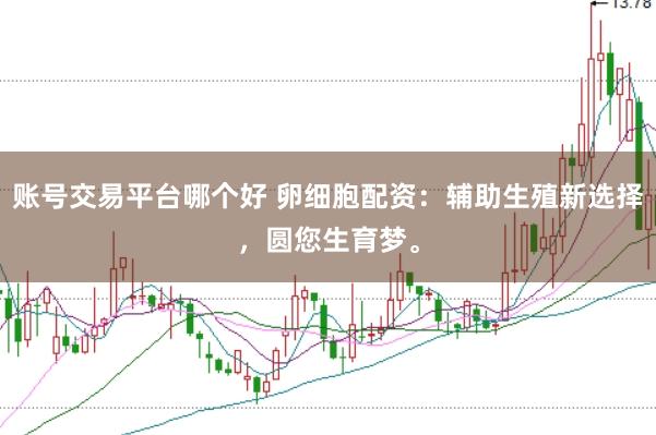 账号交易平台哪个好 卵细胞配资：辅助生殖新选择，圆您生育梦。