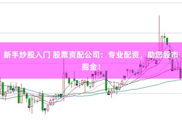 新手炒股入门 股票资配公司：专业配资，助您股市掘金！