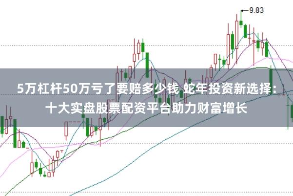 5万杠杆50万亏了要赔多少钱 蛇年投资新选择：十大实盘股票配资平台助力财富增长