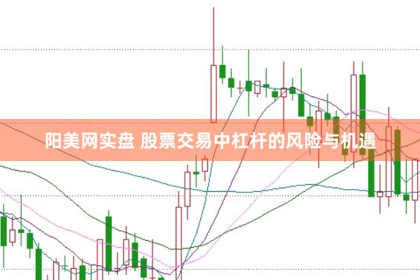 阳美网实盘 股票交易中杠杆的风险与机遇