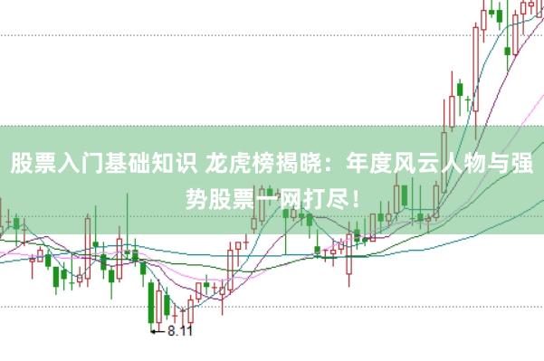 股票入门基础知识 龙虎榜揭晓：年度风云人物与强势股票一网打尽！