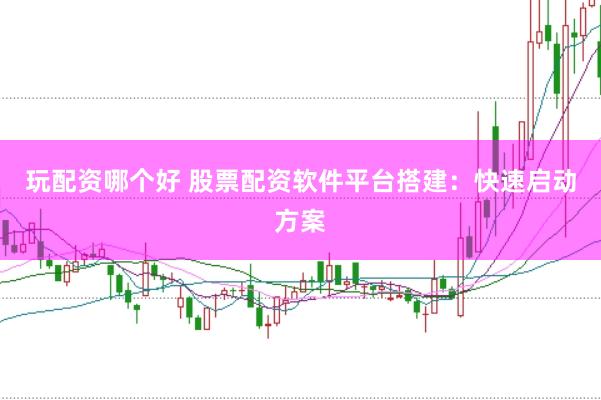 玩配资哪个好 股票配资软件平台搭建：快速启动方案