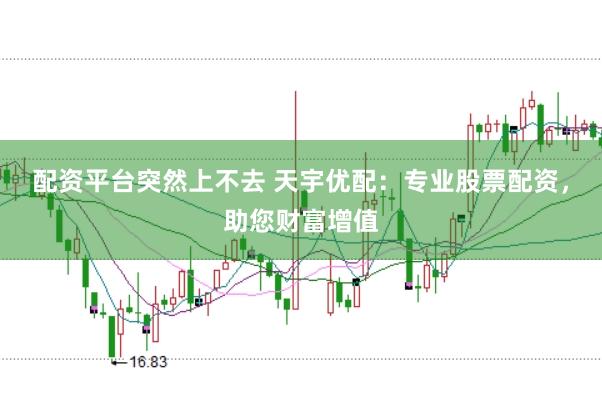 配资平台突然上不去 天宇优配：专业股票配资，助您财富增值