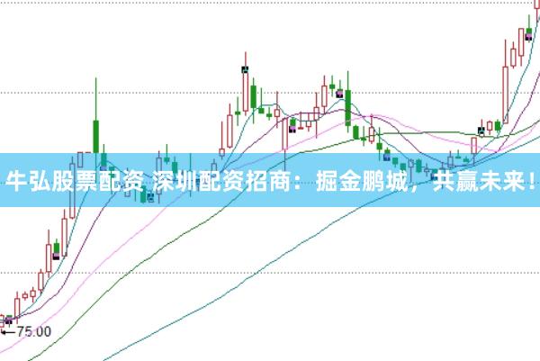 牛弘股票配资 深圳配资招商：掘金鹏城，共赢未来！