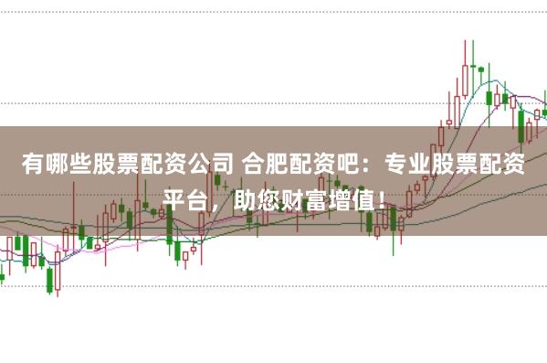 有哪些股票配资公司 合肥配资吧：专业股票配资平台，助您财富增值！