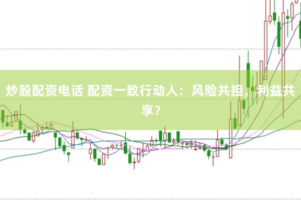 炒股配资电话 配资一致行动人：风险共担，利益共享？