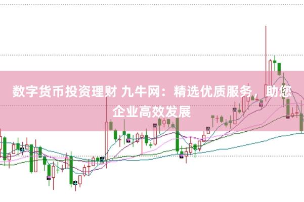 数字货币投资理财 九牛网：精选优质服务，助您企业高效发展