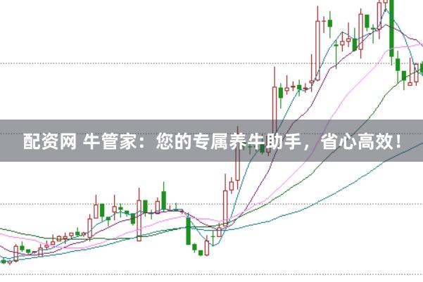 配资网 牛管家：您的专属养牛助手，省心高效！