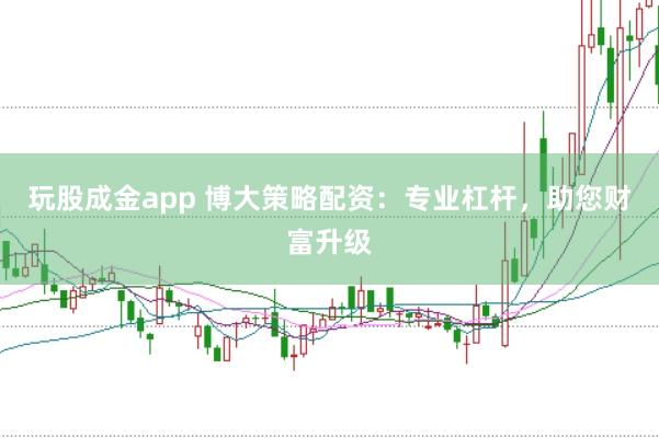 玩股成金app 博大策略配资：专业杠杆，助您财富升级