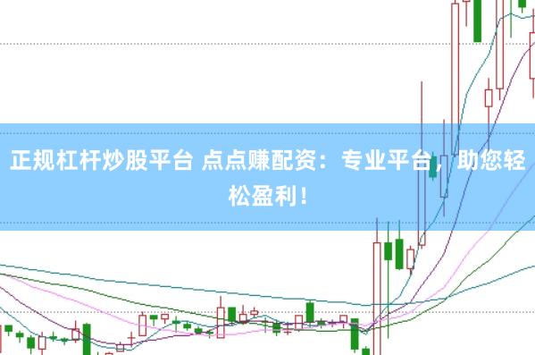 正规杠杆炒股平台 点点赚配资：专业平台，助您轻松盈利！