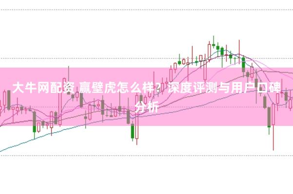 大牛网配资 赢壁虎怎么样？深度评测与用户口碑分析