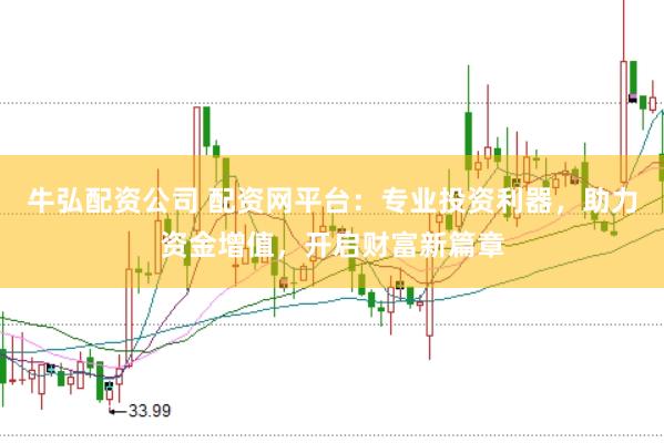 牛弘配资公司 配资网平台：专业投资利器，助力资金增值，开启财富新篇章