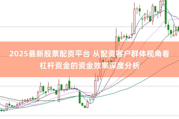 2025最新股票配资平台 从配资客户群体视角看杠杆资金的资金效率深度分析